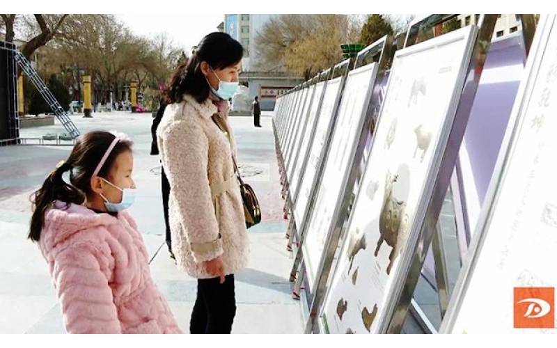 【網(wǎng)絡(luò)中國(guó)節(jié)·春節(jié)】新春生肖文物圖片聯(lián)展為敦煌市民送上文化餐